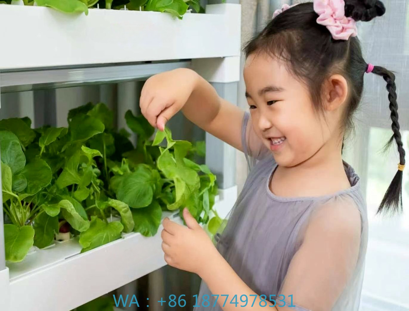 nt China Hydrokultur Grow Box  - đánh giá và giá Diy Home Automation System